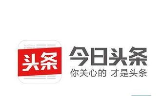 今日头条石家庄爆料热线,今日头条聚焦民生,倾听市民心声 第2张 今日头条石家庄爆料热线,今日头条聚焦民生,倾听市民心声 第2张